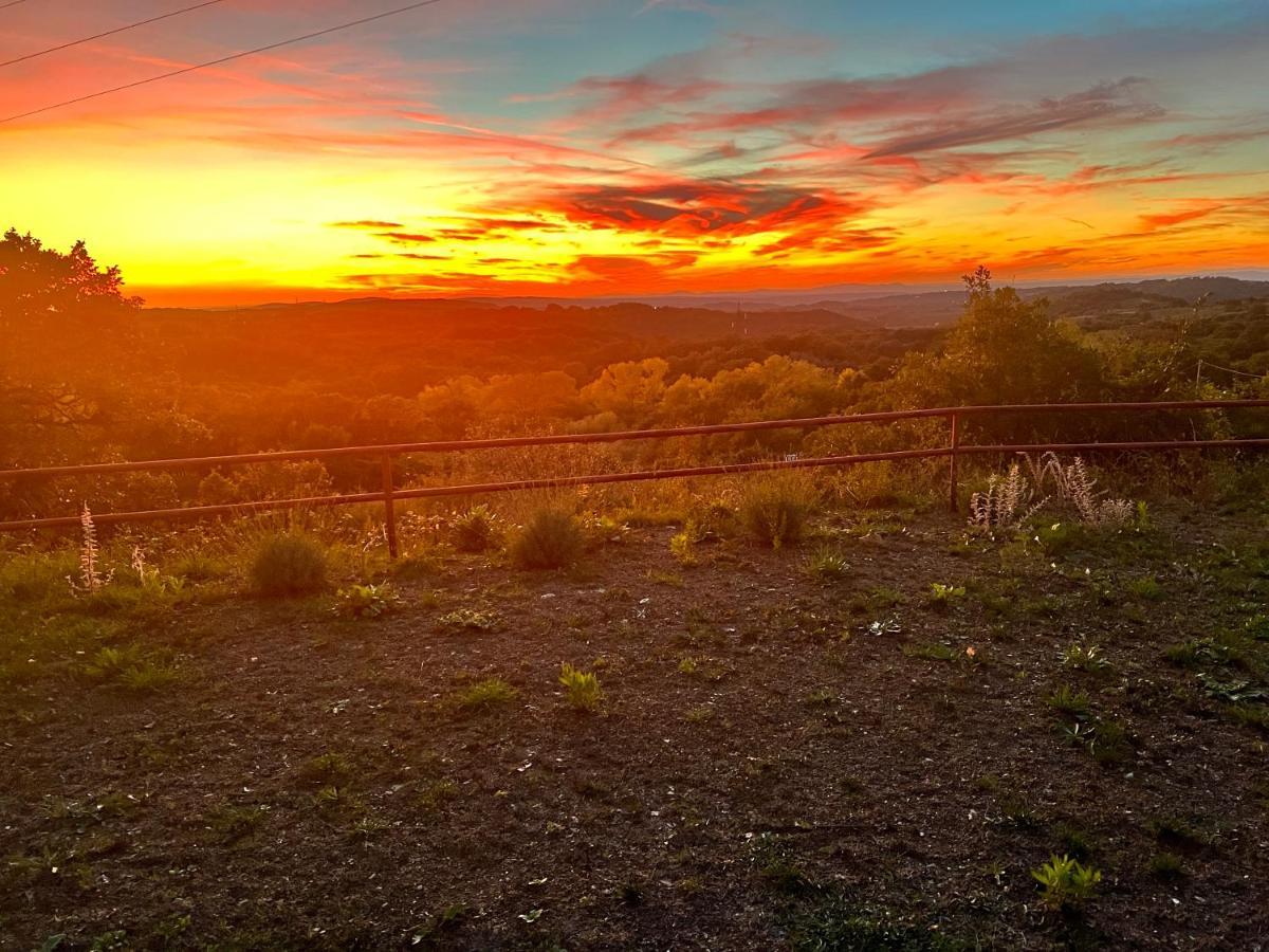 B&B Il Tramonto Barbarano Romano Kültér fotó