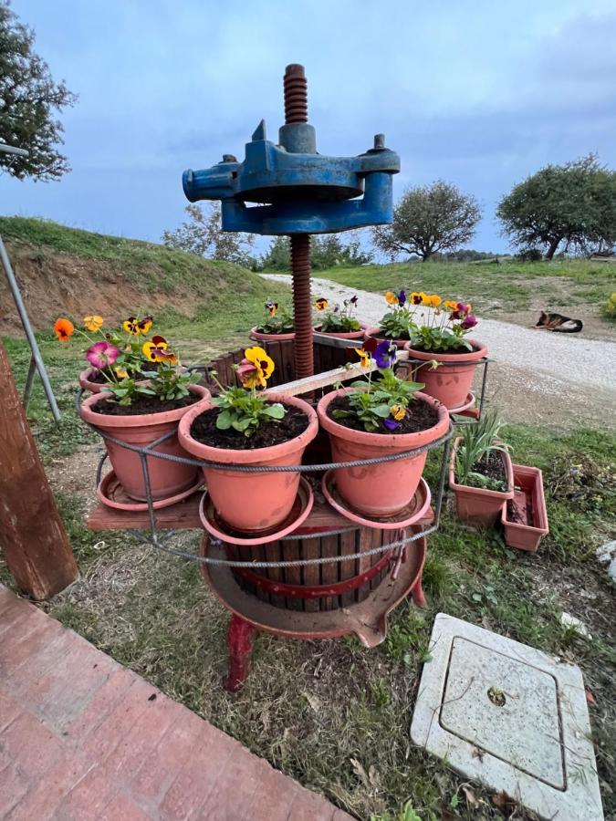 B&B Il Tramonto Barbarano Romano Kültér fotó
