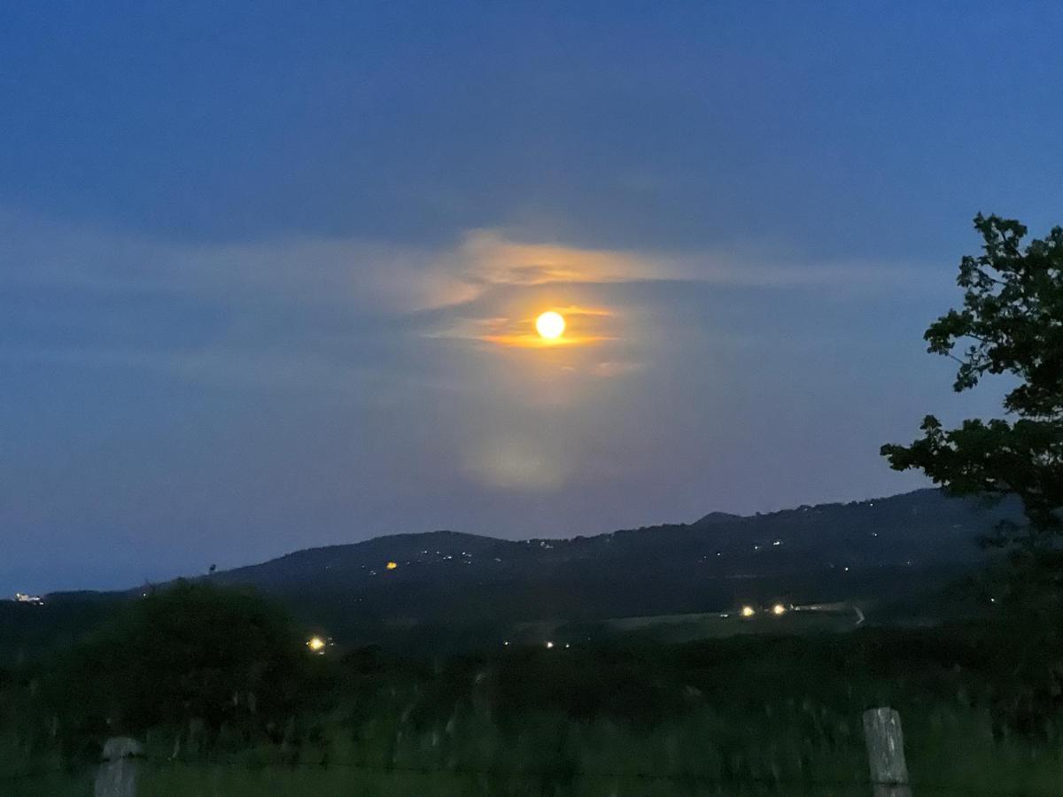 B&B Il Tramonto Barbarano Romano Kültér fotó